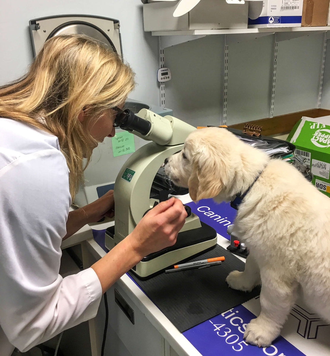 Microscopes for Veterinary Clinics - What to buy and what NOT to buy ...