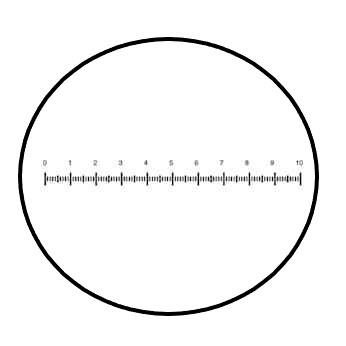 Eyepiece Micrometer Calibration Chart for Nikon Microscopes – Florida ...